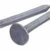Hillman Roofing Nail, 10-Gauge, Hot-Dipped Galvanized